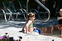 Picture 1238